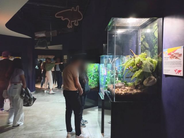 グアダラハラ水族館入ってすぐの写真